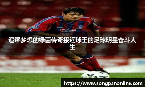 追逐梦想的绿茵传奇接近球王的足球明星奋斗人生